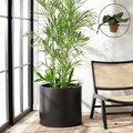 Safavieh Alia Black Planter PAT1517A